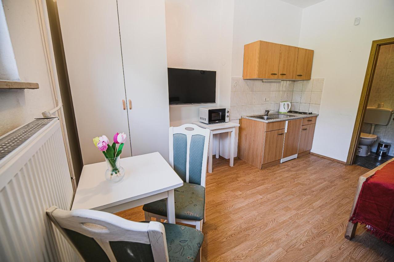 Mojcin Pisker Apartment House クラーニ エクステリア 写真